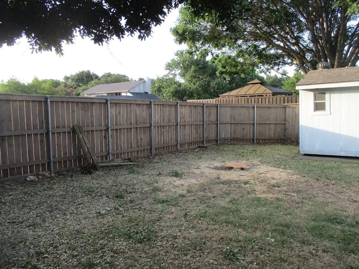 Cleared yard after professional tree removal in Goldvein